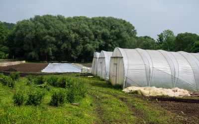 Nature & Progrès engage une nouvelle action en justice contre les décisions d’autorisation de pesticides qui ne respectent pas la réglementation européenne