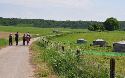 [Dossier] Concilier élevage et bien-être animal (partie 2/3)