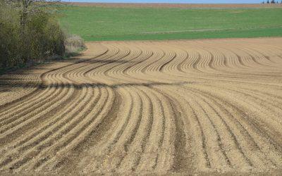 [Dossier] Nos sols, indispensables à la vie (partie 1/3)