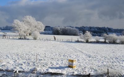 [Dossier] Nos sols, indispensables à la vie (partie 3/3)